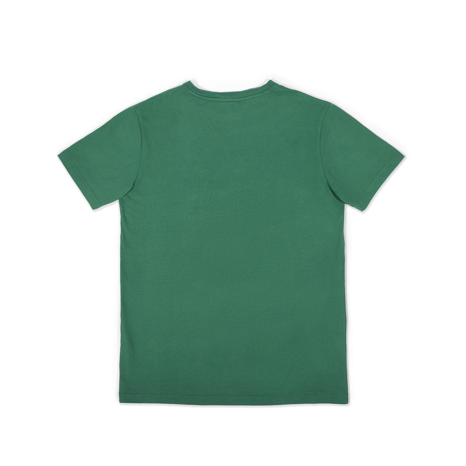 Grünes Kurzarm-T-Shirt in der  Rückansicht auf weißem Hintergrund. Das Kleidungsstück ist auf der Rückseite durchgehend einfarbig, ohne zusätzliche Aufdrucke oder Verzierungen.